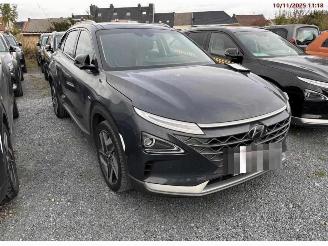 Auto incidentate Hyundai Nexo  2020/12
