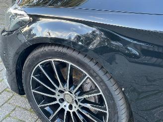 Mercedes C-klasse 220 d AMG LINE NAVI CAMERA PDC picture 13