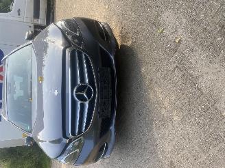  Mercedes E-klasse E 300 BLEUTEC HYBRID 2013/6