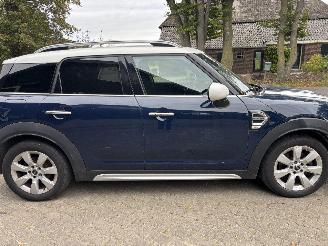 Mini Countryman Countryman COOPER 1.5 EDITION NAVI CLIMA CAMERA LED KEYLESS B.J 2019 picture 13
