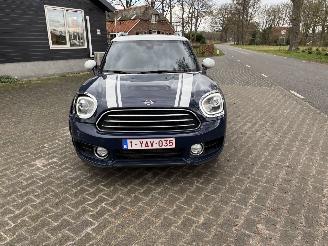 Mini Countryman COOPER 1.5 EDITION NAVI CLIMA CAMERA LED KEYLESS B.J 2019 picture 5