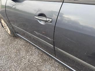 Mitsubishi Grandis  picture 13