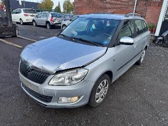 Avarii autoturisme Skoda Fabia  2011/1