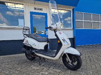 Sym  FIDDLE II picture 2