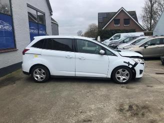 Ford Grand C-Max Grand C-Max (DXA), MPV, 2010 / 2019 1.6 EcoBoost 16V picture 5