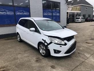 Ford Grand C-Max Grand C-Max (DXA), MPV, 2010 / 2019 1.6 EcoBoost 16V picture 2