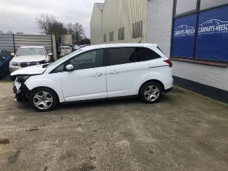 Ford Grand C-Max Grand C-Max (DXA), MPV, 2010 / 2019 1.6 EcoBoost 16V picture 4