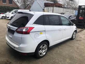 Ford Grand C-Max Grand C-Max (DXA), MPV, 2010 / 2019 1.6 EcoBoost 16V picture 6