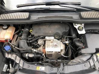 Ford C-Max C-Max (DXA), MPV, 2010 / 2019 1.0 Ti-VCT EcoBoost 12V 125 picture 9