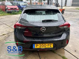 Opel Corsa Corsa F (UB/UH/UP), Hatchback 5-drs, 2019 1.2 12V 75 picture 4