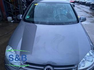 Volkswagen Golf Golf V (1K1), Hatchback, 2003 / 2010 1.4 16V picture 19