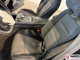 Renault Austral  picture 16