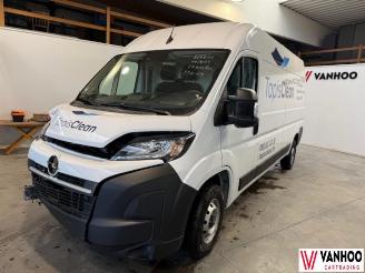 Opel Movano  picture 1