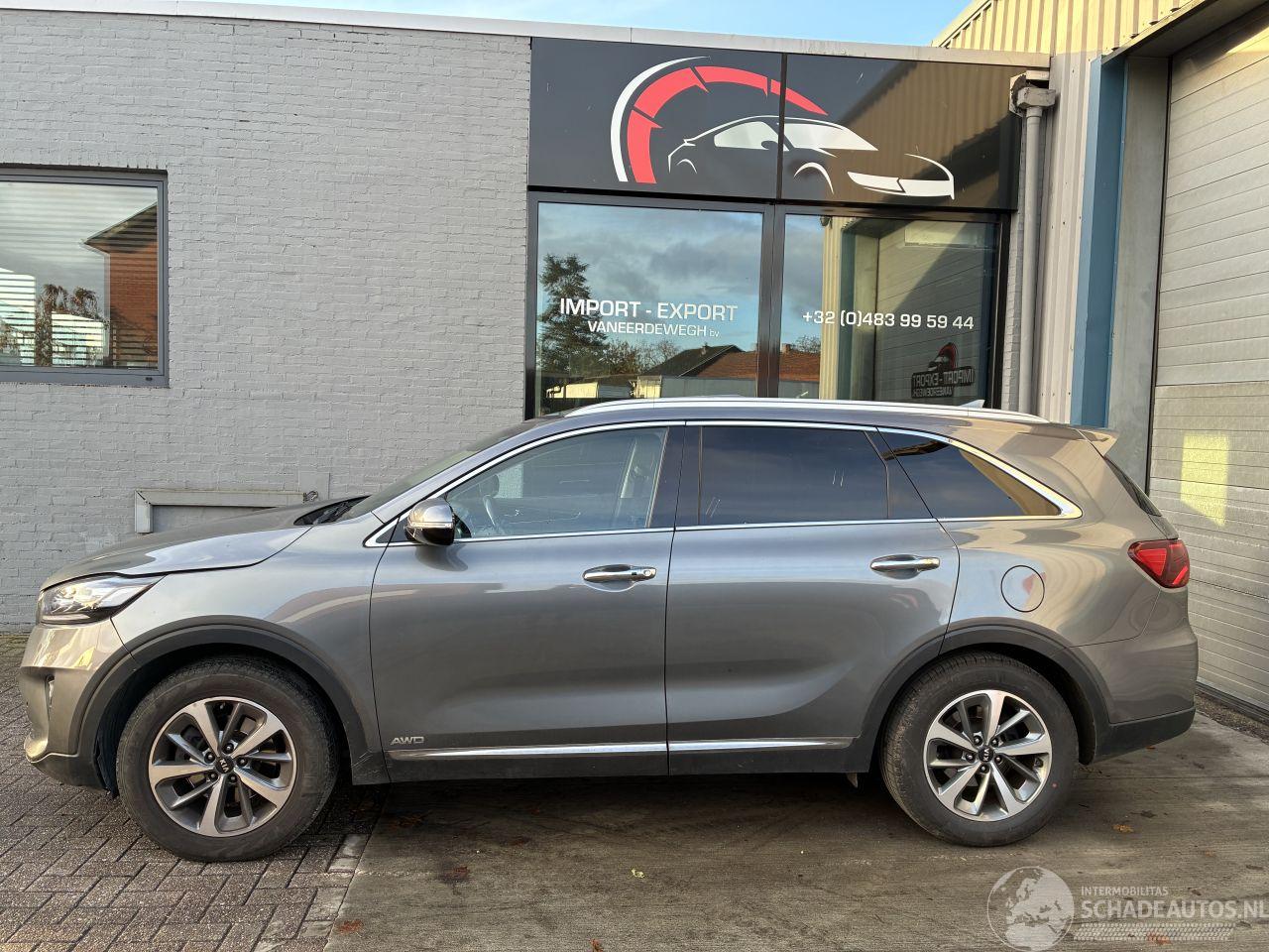 Kia Sorento Kia Sorento 2.2D AWD 2018 7 zit