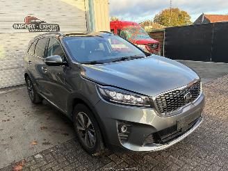 Kia Sorento Kia Sorento 2.2D AWD 2018 7 zit picture 7