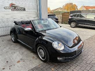 Volkswagen Beetle VW BEETLE 1.6TDI 2013 picture 5