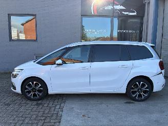 Schadeauto Citroën C4 Citroen c4 1.5d 2019 7 zit 2019/12
