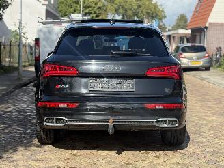 Audi SQ5 3.0 TFSI picture 13