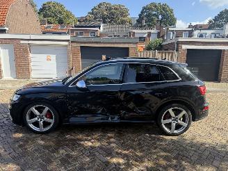 Audi SQ5 3.0 TFSI picture 23