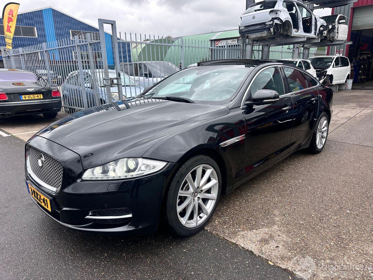 Jaguar XJ 3.0 V6D PREMIUM LUXURY