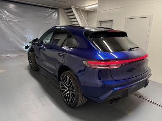 Porsche Macan PANORAMA picture 6
