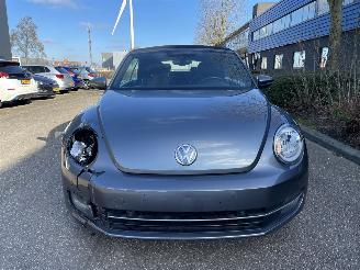 Volkswagen Beetle 1.2 77kw picture 5