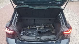 Seat Ibiza  picture 17