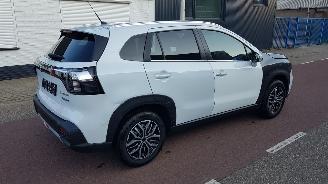 Suzuki S-Cross 1.4 BOOSTERJET HYBRID picture 8