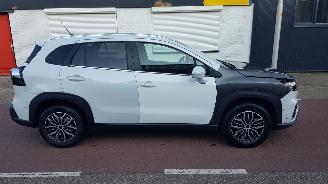 Suzuki S-Cross 1.4 BOOSTERJET HYBRID picture 5