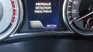 Suzuki S-Cross 1.4 BOOSTERJET HYBRID picture 22