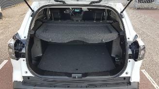 Suzuki S-Cross 1.4 BOOSTERJET HYBRID picture 11
