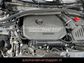 BMW 1-serie i Advantage  DAB-Tuner ScheinLED picture 15