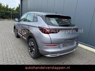 škoda osobní automobily Opel Grandland X PHEV 165KW Hybrit 2023/11