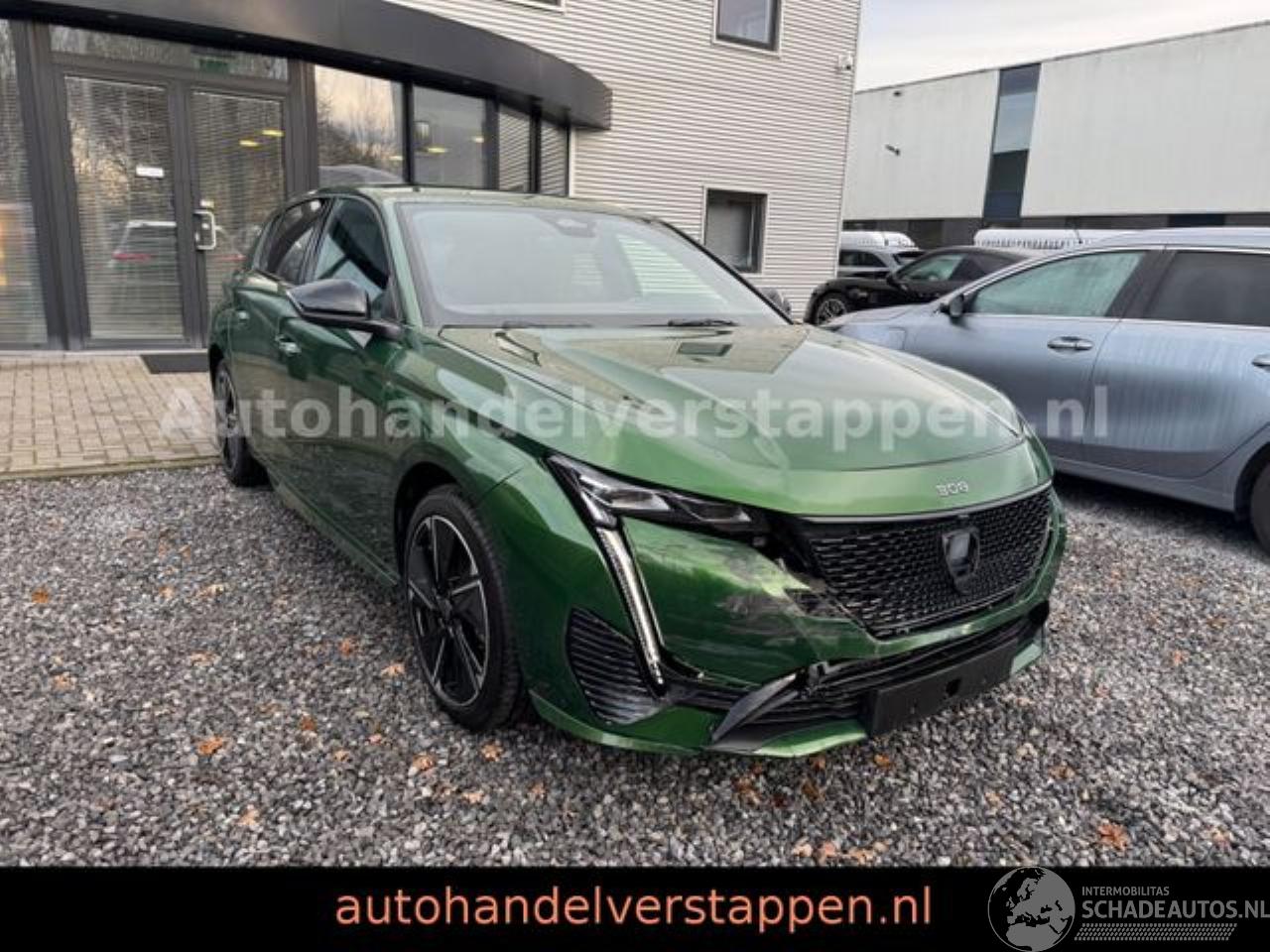 Peugeot 308 E- GT Elektro Matrix Leder ACC