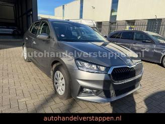 Schadeauto Skoda Fabia Ambition TSI 110KW Graphite Grey 2024/3