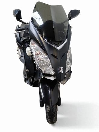 Peugeot  SATELIS RS picture 3