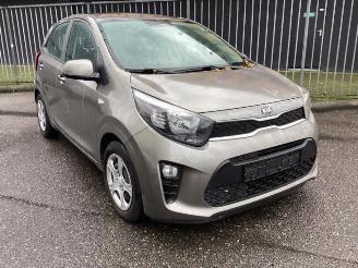 Autoverwertung Kia Picanto Picanto (JA), Hatchback, 2017 1.0 12V 2019/5