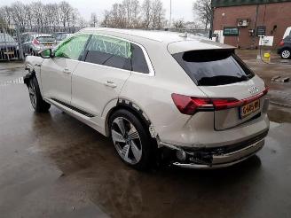 Audi E-tron E-tron (GEN), SUV, 2018 55 quattro picture 5