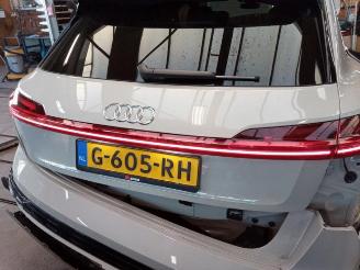 Audi E-tron E-tron (GEN), SUV, 2018 55 quattro picture 13