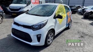 Autoverwertung Kia Picanto Picanto (JA), Hatchback, 2017 1.0 DPi 12V 2023/10