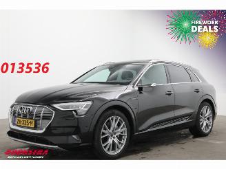 Damaged car Audi E-tron 55 Quattro MirrorCam 360° Memory SHZ AHK 2019/5