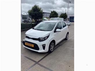 Coche siniestrado Kia Picanto Picanto (JA), Hatchback, 2017 1.0 DPi 12V 2022/12
