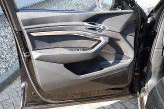 Audi E-tron E-tron Sportback (GEA), SUV, 2019 50 picture 26