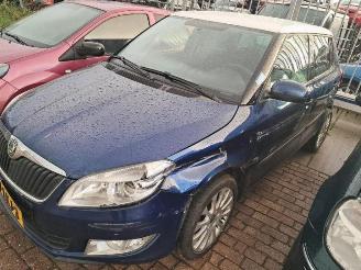 Autoverwertung Skoda Fabia Fabia II (5J), Hatchback 5-drs, 2006 / 2014 1.2 TSI 2010/5