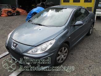 Salvage car Peugeot 307 307 CC (3B) Cabrio 2.0 16V (EW10J4(RFN)) [100kW]  (10-2003/06-2005) 2004