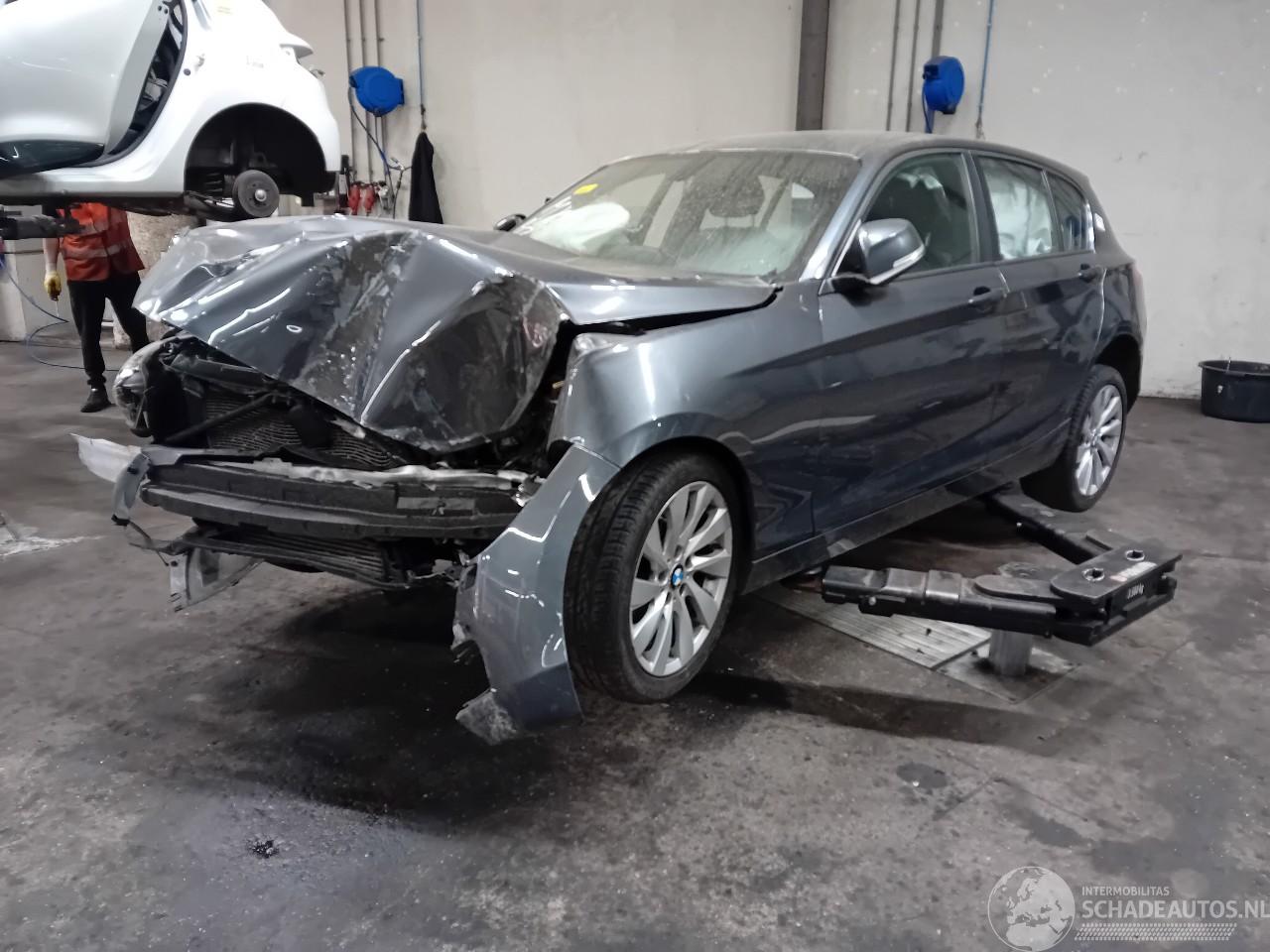 BMW 1-serie 1 serie (F20) Hatchback 5-drs 116i 1.6 16V (N13-B16A) [100kW]  (07-201=
1/02-2015)