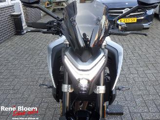 CFMoto  450 NK picture 22