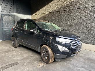 Démontage voiture Ford EcoSport (JK8) SUV 2013 1.0 EcoBoost 12V 125 SUV  Benzine 998cc 92kW (125pk) FWD 2019/10